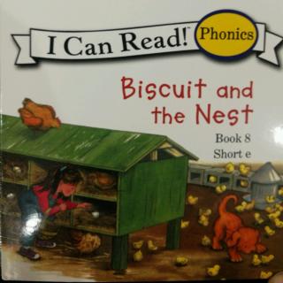 Book 8 Biscuit and the Nest