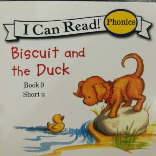 Book 9 Biscuit and the Duck