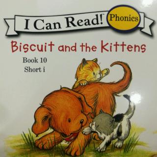 Book 10 Biscuit and the Kittens