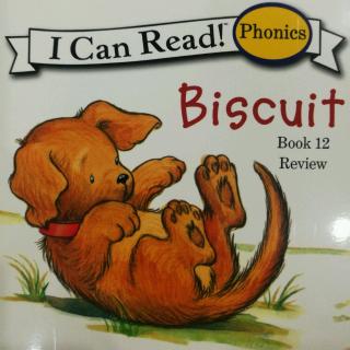 Book 12 Biscuit