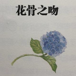 《自然笔记》之《微小的春天》毛芦芦——花骨之吻💋