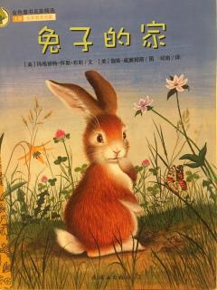 金色童书名家精选《兔子的家》