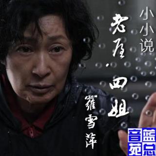 罗雪萍小说《老屋.四姐》蓝总播音