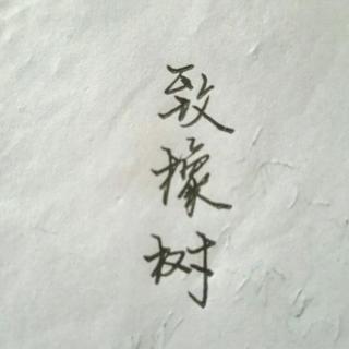 用心说 | 致橡树