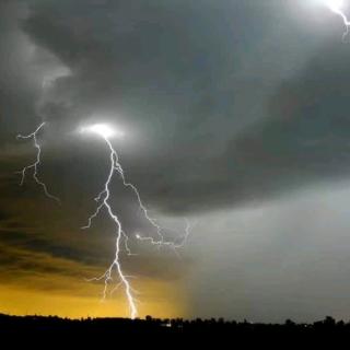 戊戌喜迎春雨