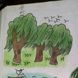 亲子乐园芳芳老师分享睡前故事:《奇幻森林之我们都有一颗大树》