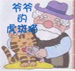 爷爷的虎斑猫