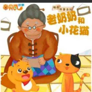 小博士幼儿园睡前故事第六十七期《老奶奶和小花猫》