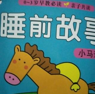 《小马🐴过河》