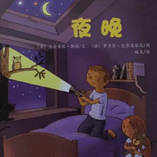 亲亲科学图书馆-夜晚