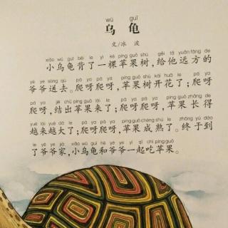 小乌龟的苹果树