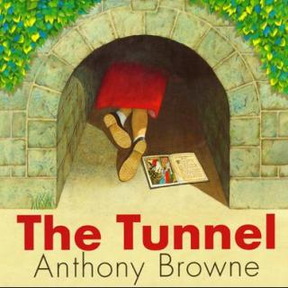 安东尼·布朗家庭系列 - The Tunnel