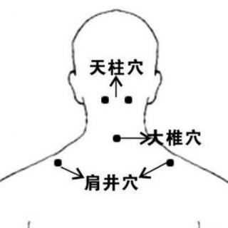 【话中医·梧桐说】通胆经，找肩井