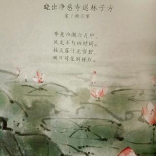 晓出净慈寺送林子方（宋/杨万里）