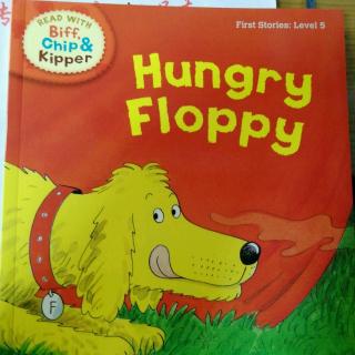 187-《饥饿的Floppy  Hungry floppy》20180316