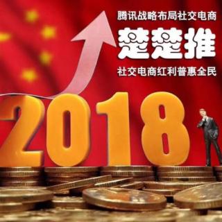 柯总分享楚楚推抓住趋势,当下属于你