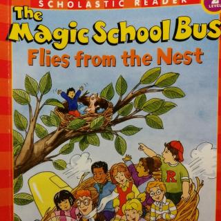 Mar17 Fish3(the magic school bus1-2)