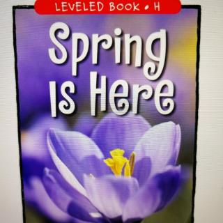 LEVELD Book H Spring is here