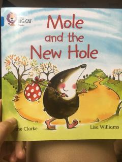 Mole and the new hole