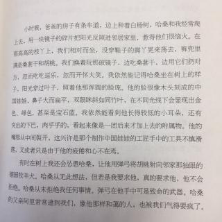 《追风筝的人》第二章一段