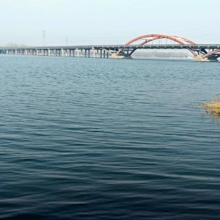 《没有你桃花源里无风景》