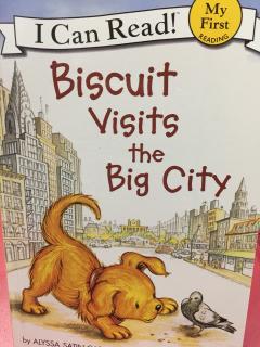 Biscuit visits the big city