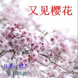 《又见樱花》作者：杞人 ；铁石朗诵