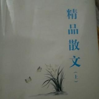 仪《父子情》舒乙