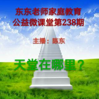 陈东老师家庭教育公益微课堂第238期《天堂在哪里》