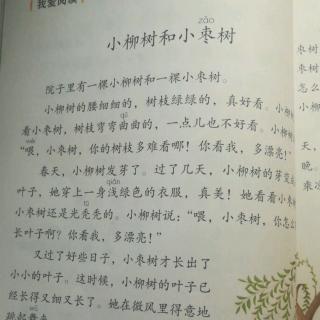 预习课文小柳树和小枣树