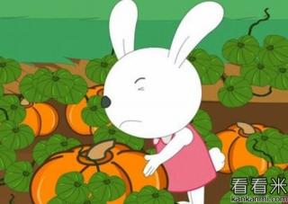 园长妈妈讲故事 61 《聪明的小白兔🐰搬南瓜🎃》