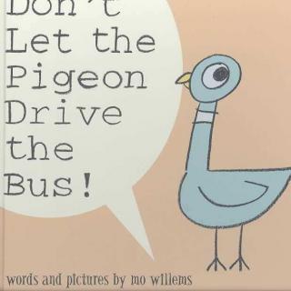 Don't let the pigeon drive the bus