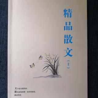 《精品散文》一 壶口瀑布：中华民族的精神象征（宁明）