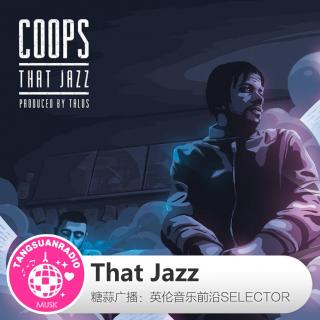糖蒜爱音乐之The Selector：That Jazz
