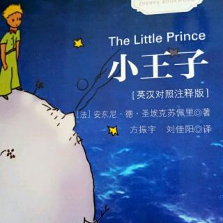 《小王子》英文版  第二章