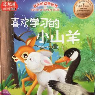 喜欢学习的小山羊