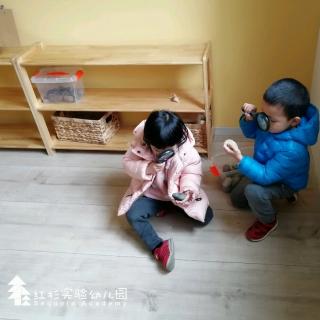 红杉实验幼儿园幼教之声:《如何与孩子有效沟通》