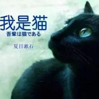 【我是猫】03.23兮然