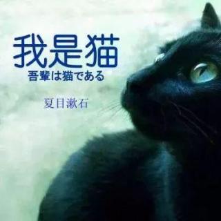 【我是猫】03.04兮然