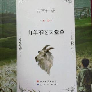 《山羊不吃天堂草》24