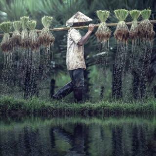 第十一节 间接赞美