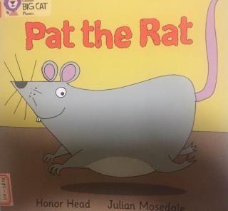 【幸运先生的故事屋】125.Pat the rat
