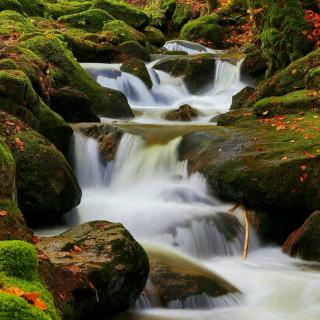 唐诗春江晓景～苏浩岳打卡第12天