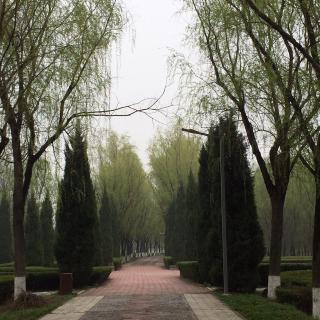 山雨 小学六年级上册