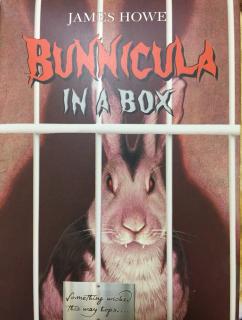 The Bunnicula In A Box 01