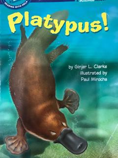 Platypus 2