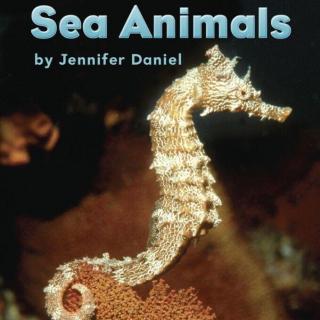 100个儿童英文故事集#99 Sea animals