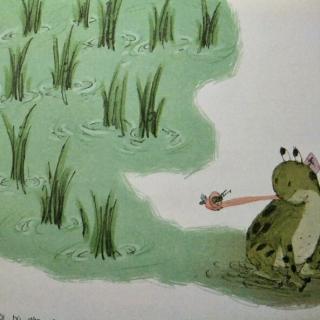 《青蛙🐸和秧苗》