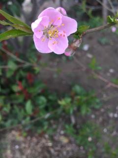 送梁六自洞庭山 桃花溪 山行留客