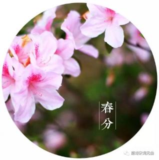 《流萤集》（节选）——泰戈尔